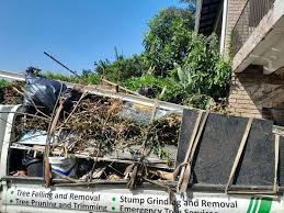 Best Recycling Services for Junk  in Roselle, NJ